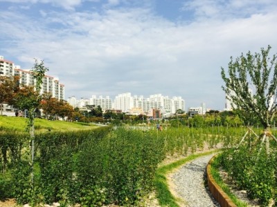 대화강국가정원